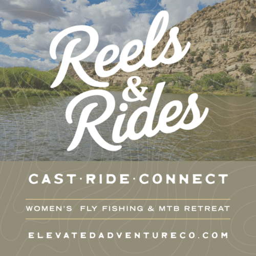 Premium | Reels & Rides